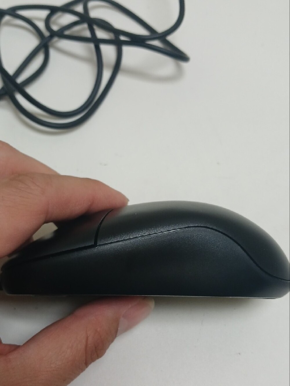 Logitech Optical Wheel Mouse - Picture 9 of 10